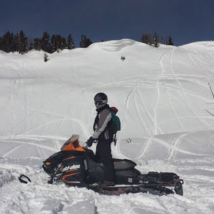 Meet your Posher, Will